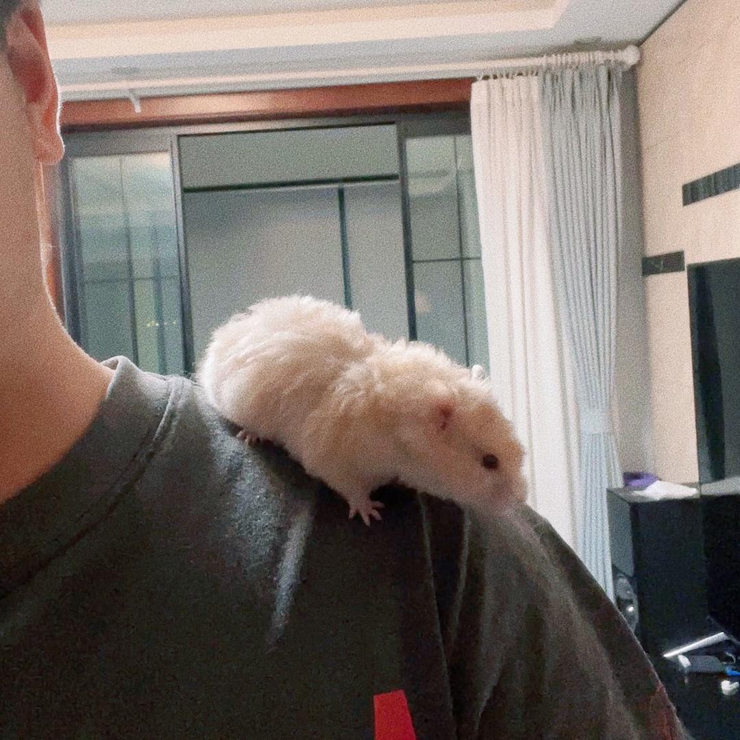 煎饼狗子🎣