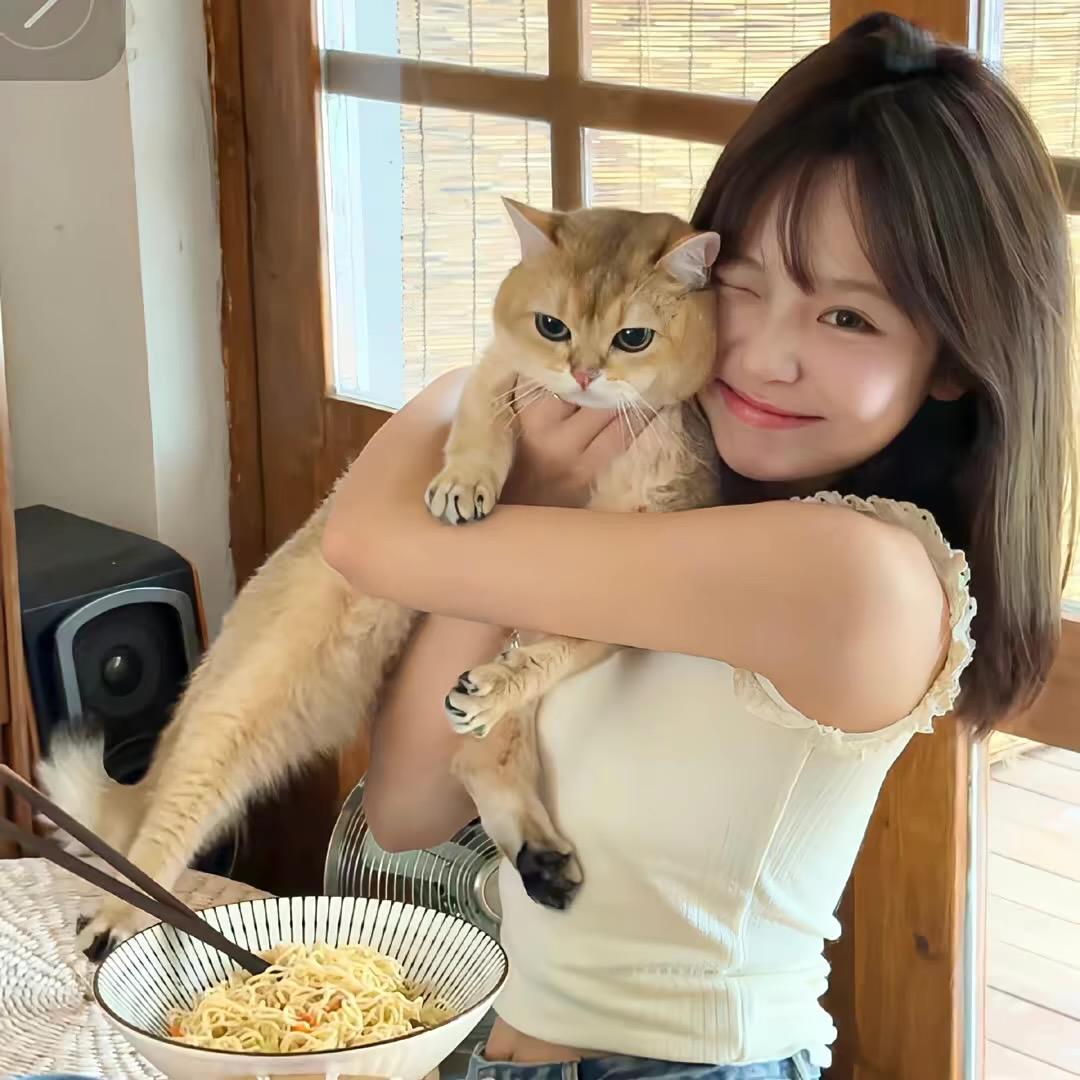 忧郁的鸡蛋饼