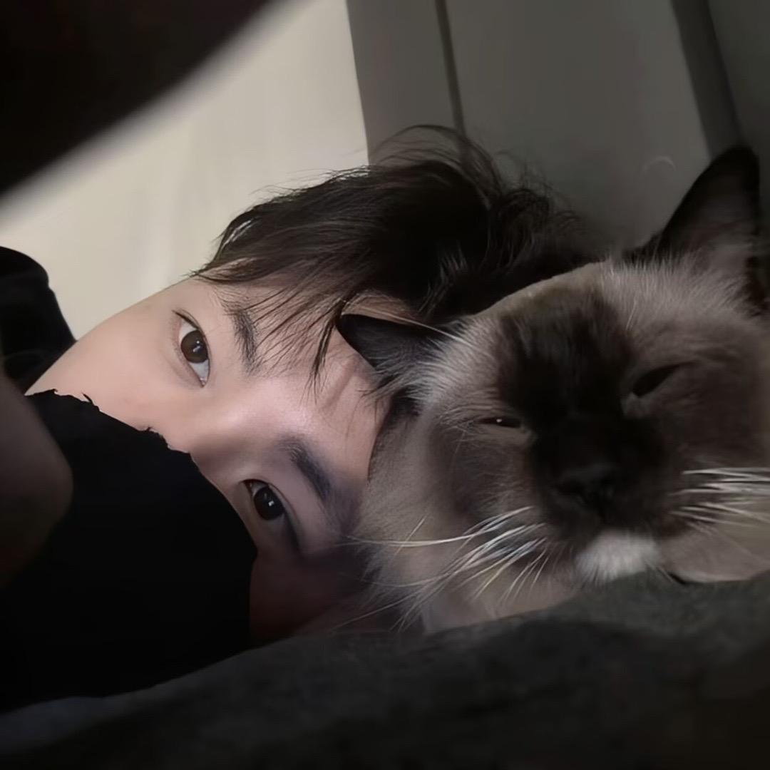 怎挽