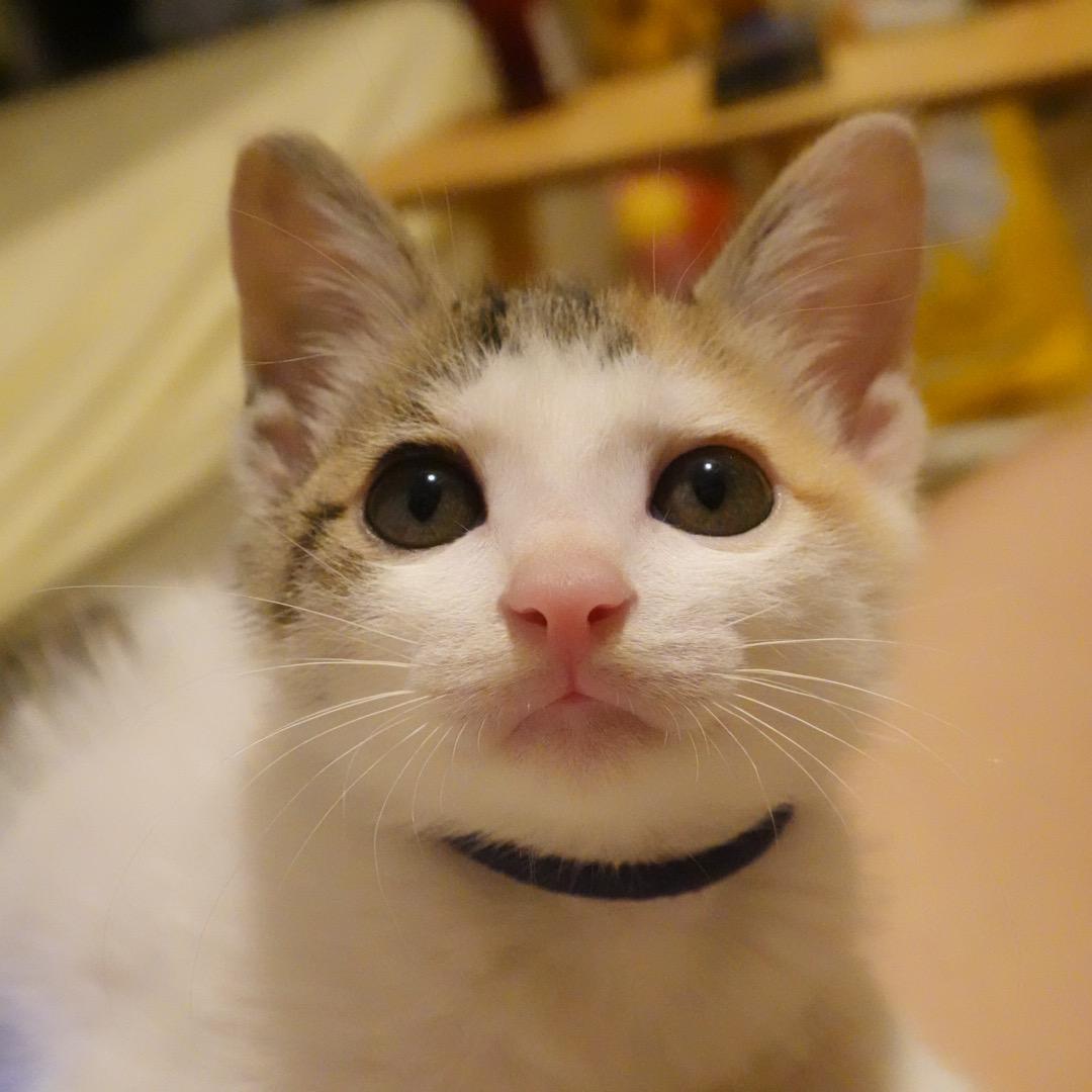 蒙娜披萨