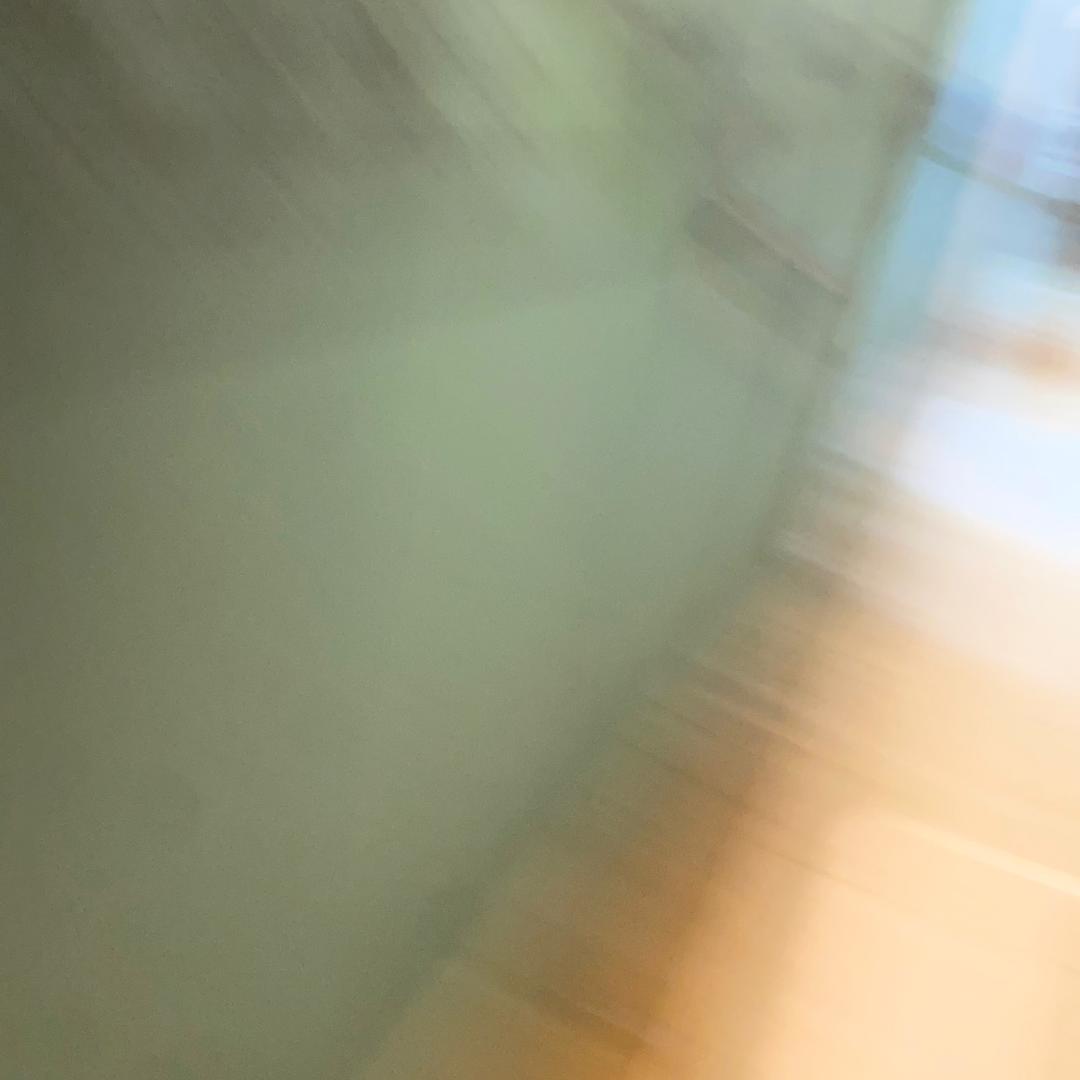 瑞丽禅玉