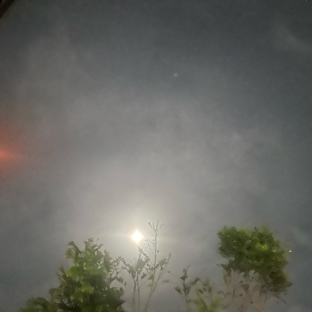 昵称已重置