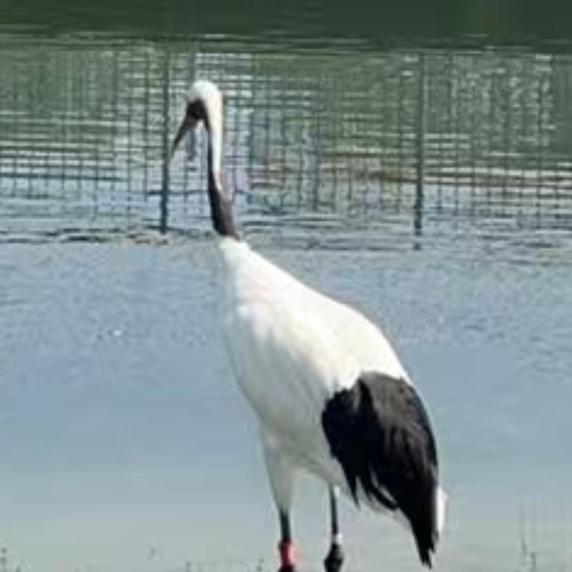 幸福入驻🎊💎