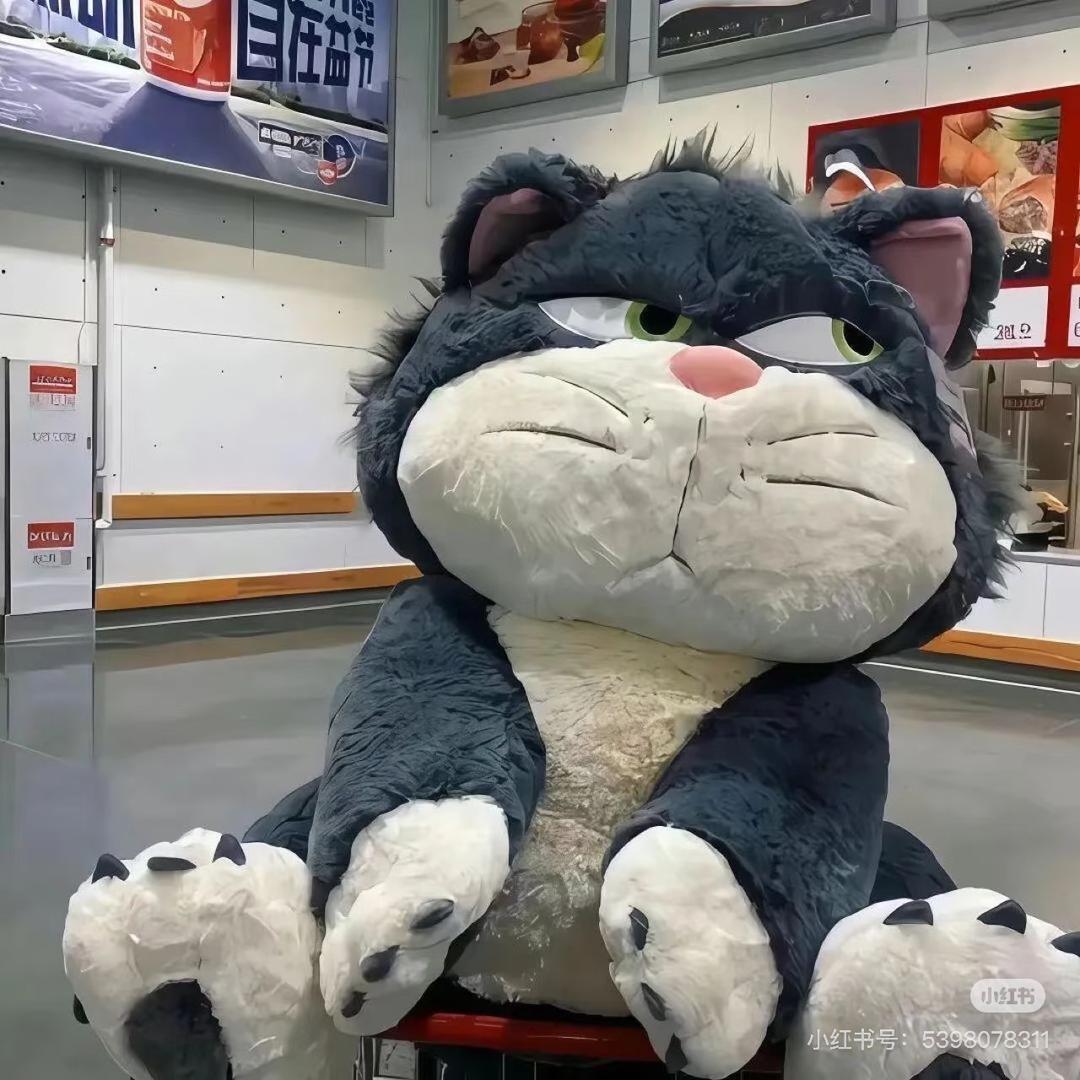 小懒猫玩游戏丫