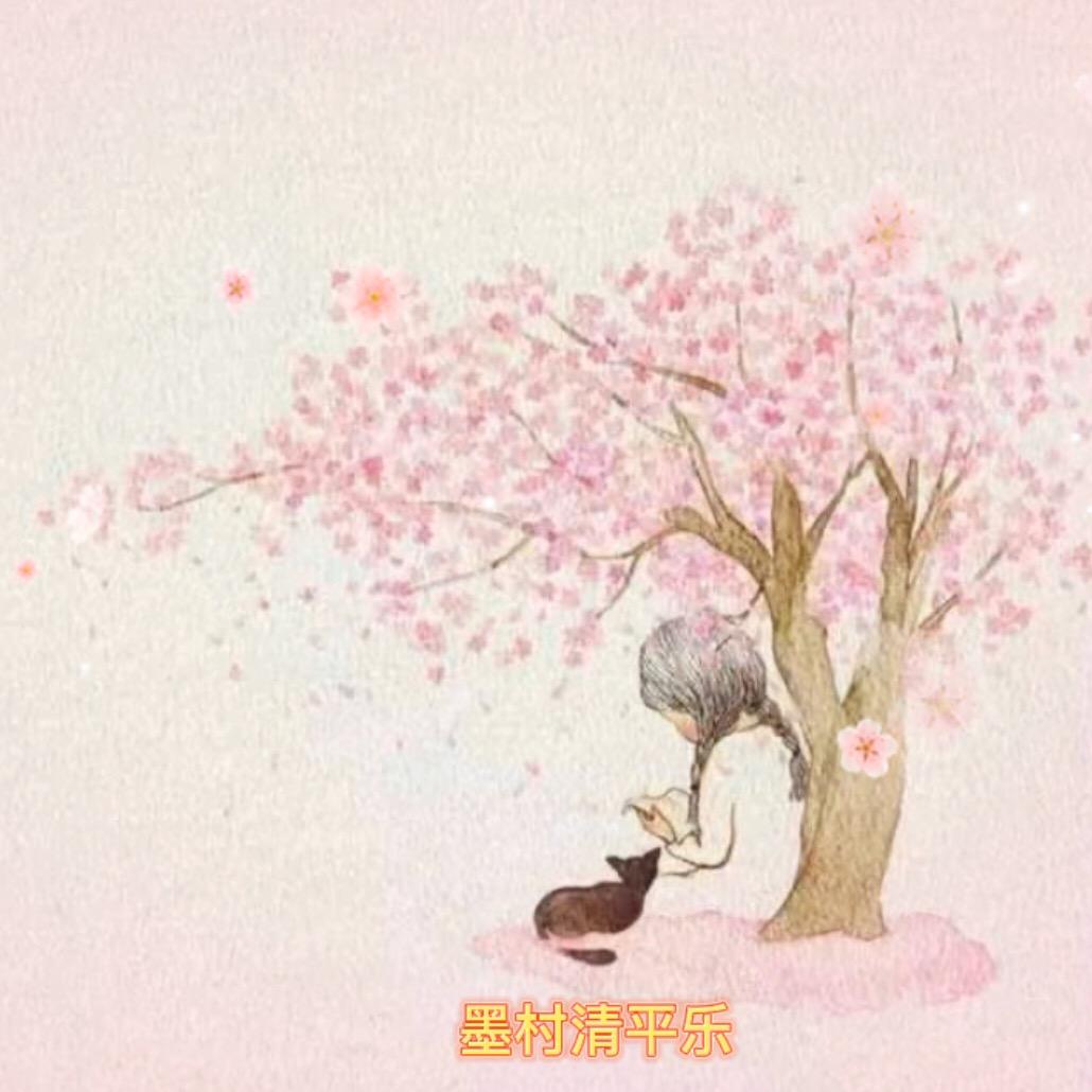墨村清平乐