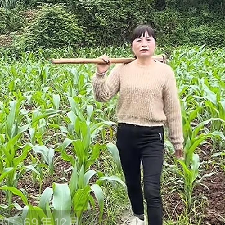 雨菲