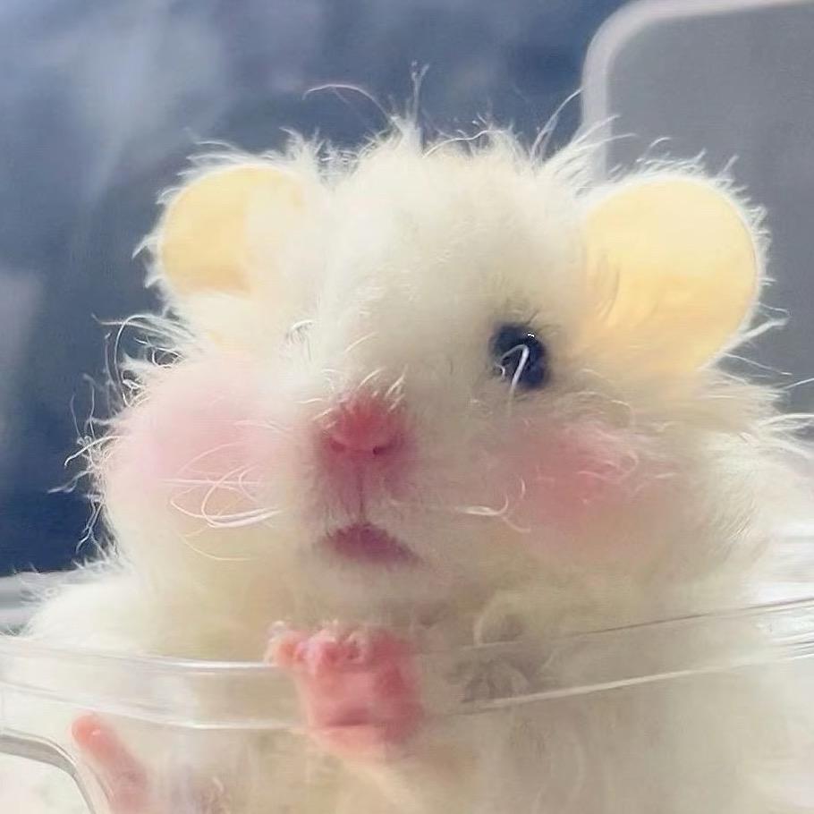 ້໌ᮨ