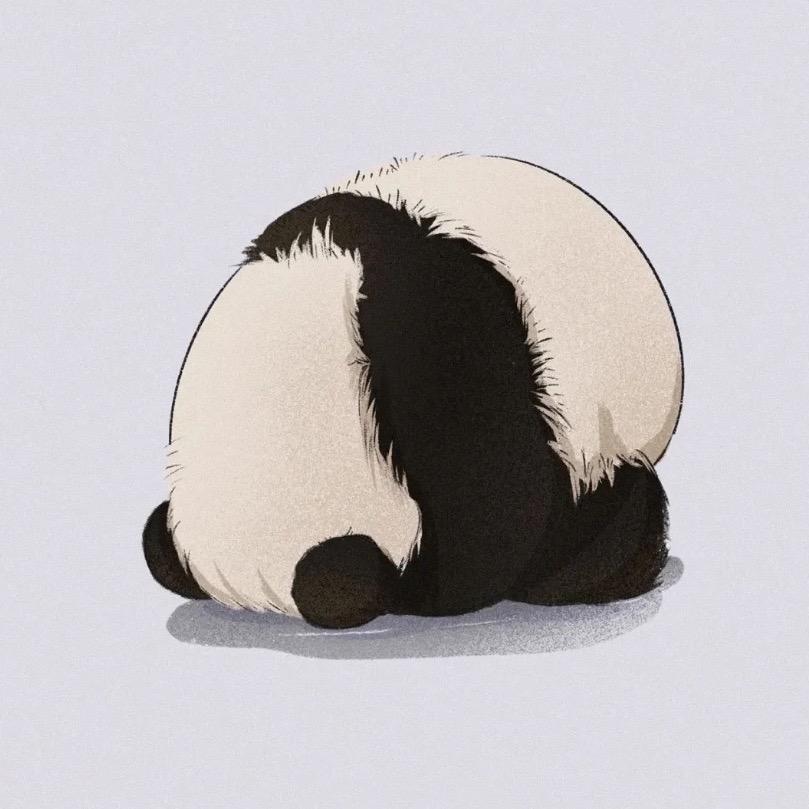 panda🐼。敘