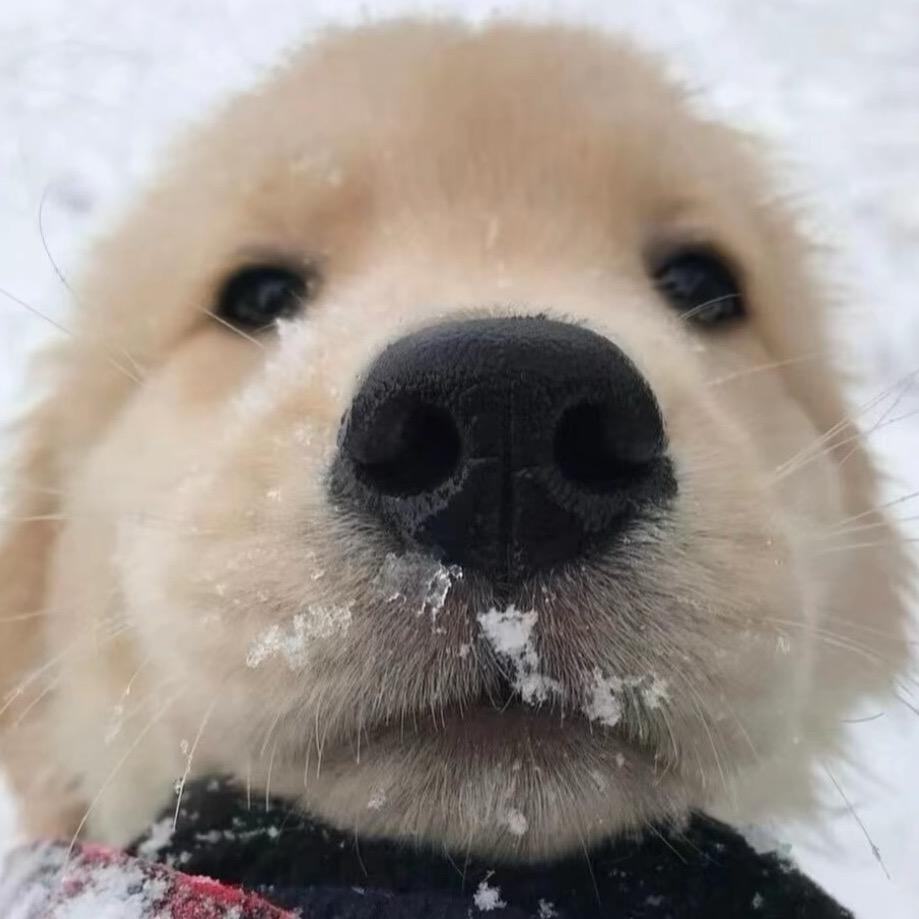 林.