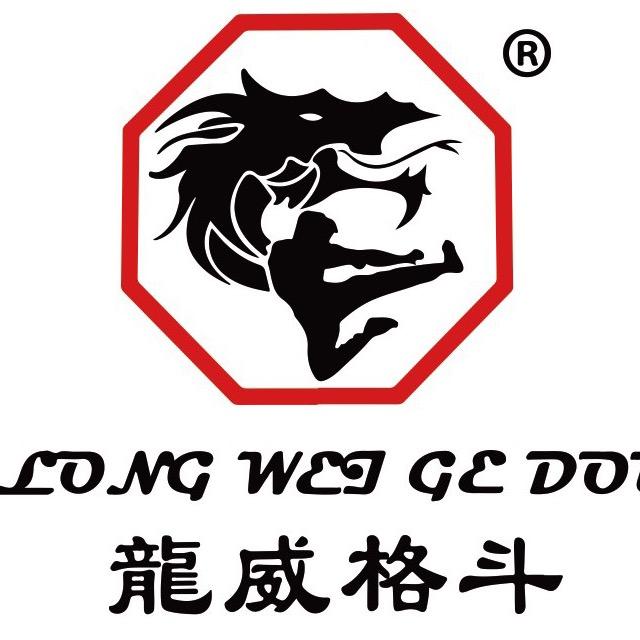 龙威格斗