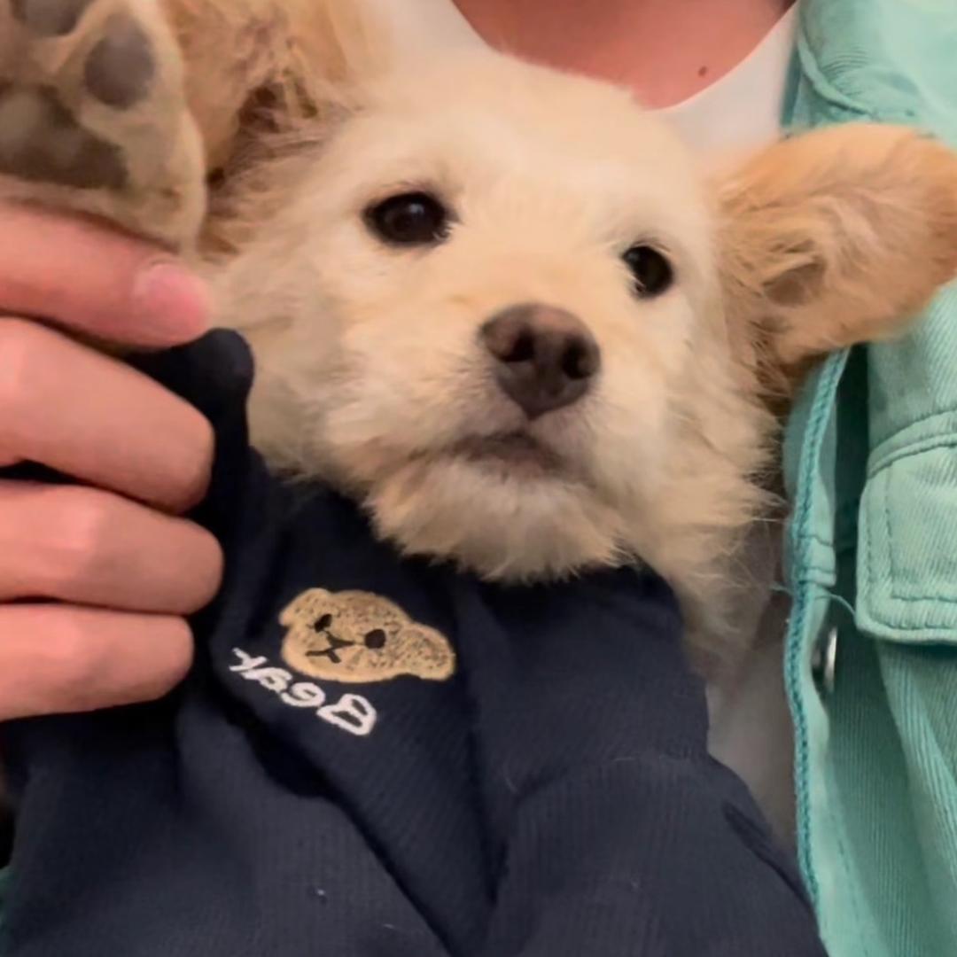 小黄同学就是如此