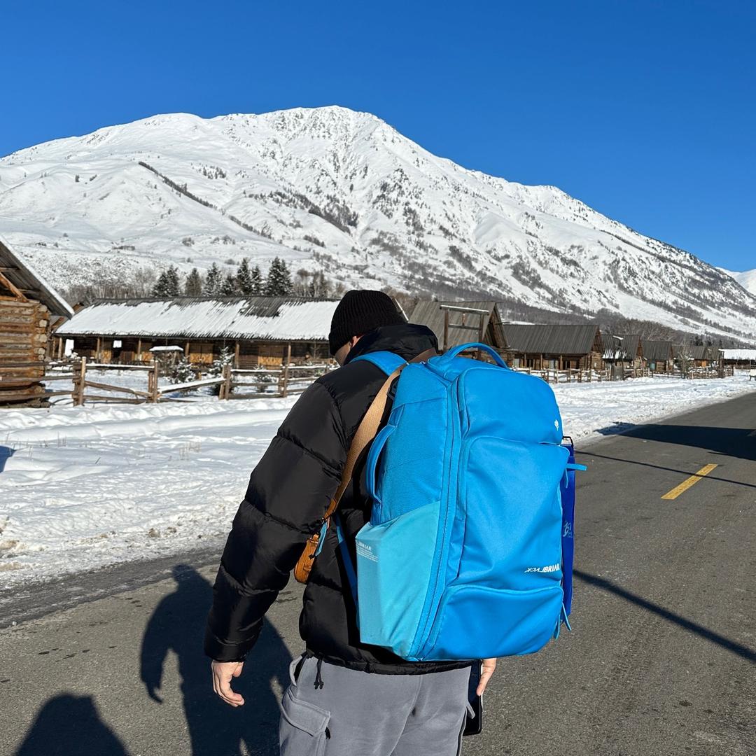 胜利和马VICTOR&HORSE