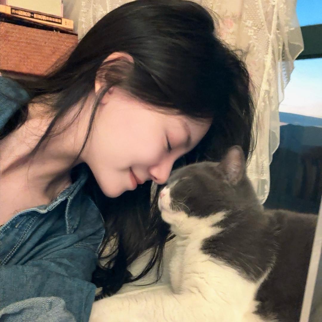 一條猪横莉