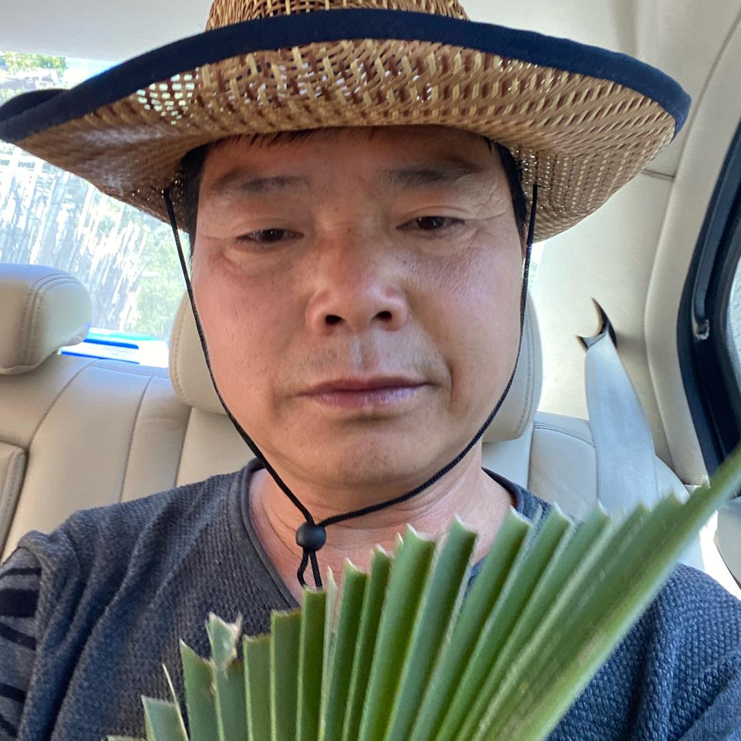 乡村（大佑）999