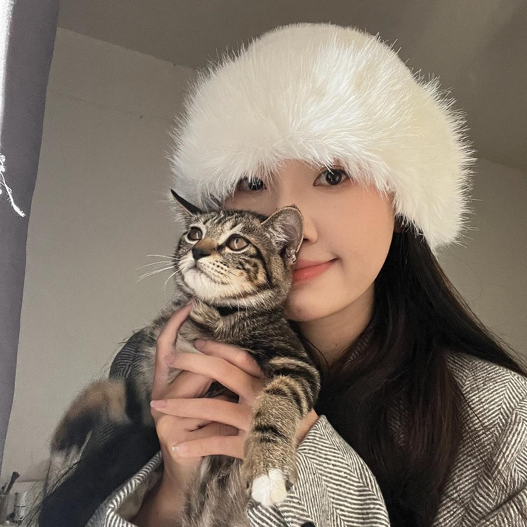 麻花和麻球