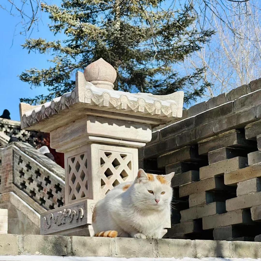 婵瑞