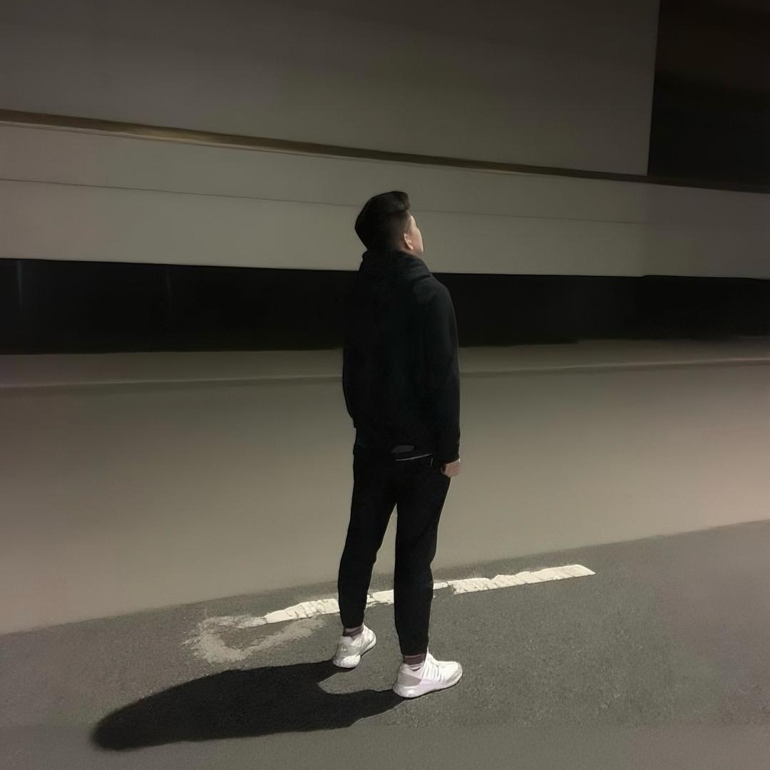一只小奶龙