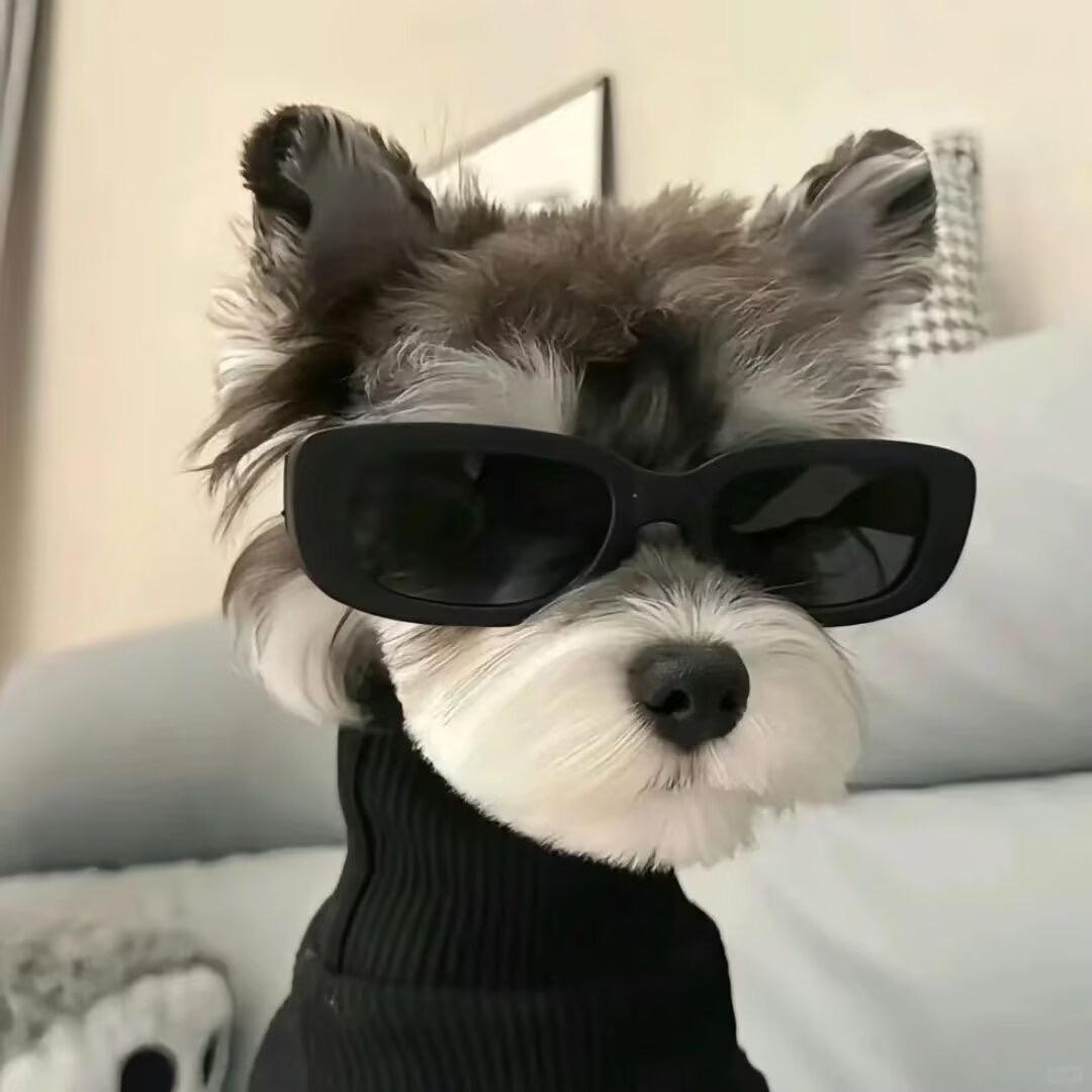 凌晨两点半