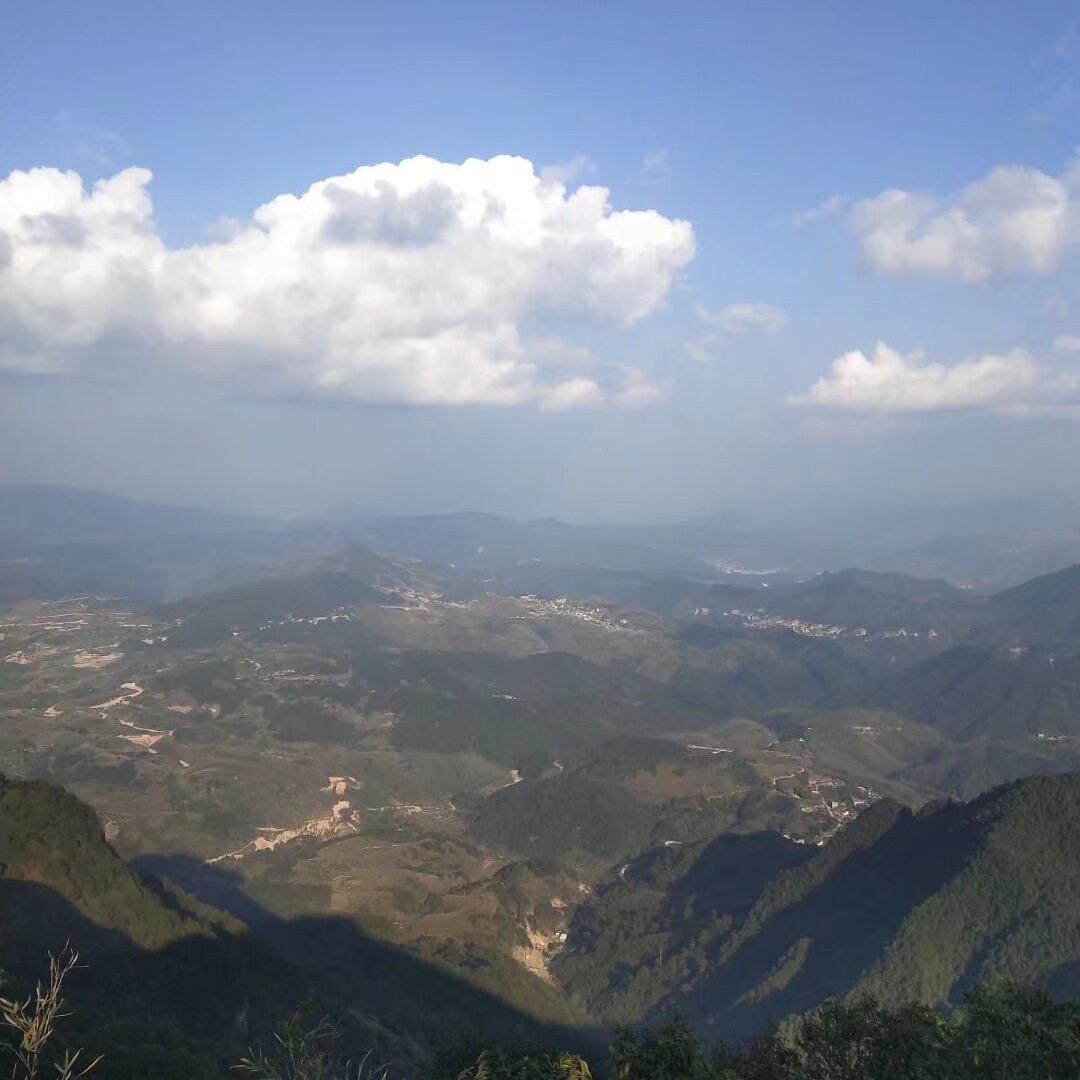 阿银
