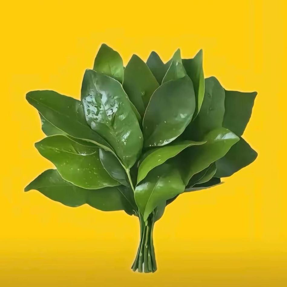 泡泡🫧……