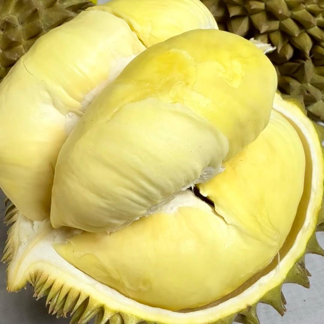 暴暴莲源头出