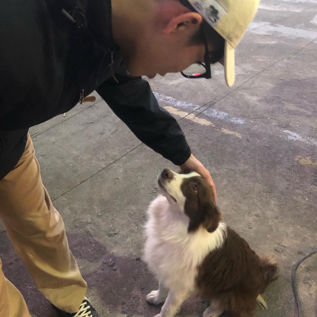 钦幼进杰（有新生裙🛰）