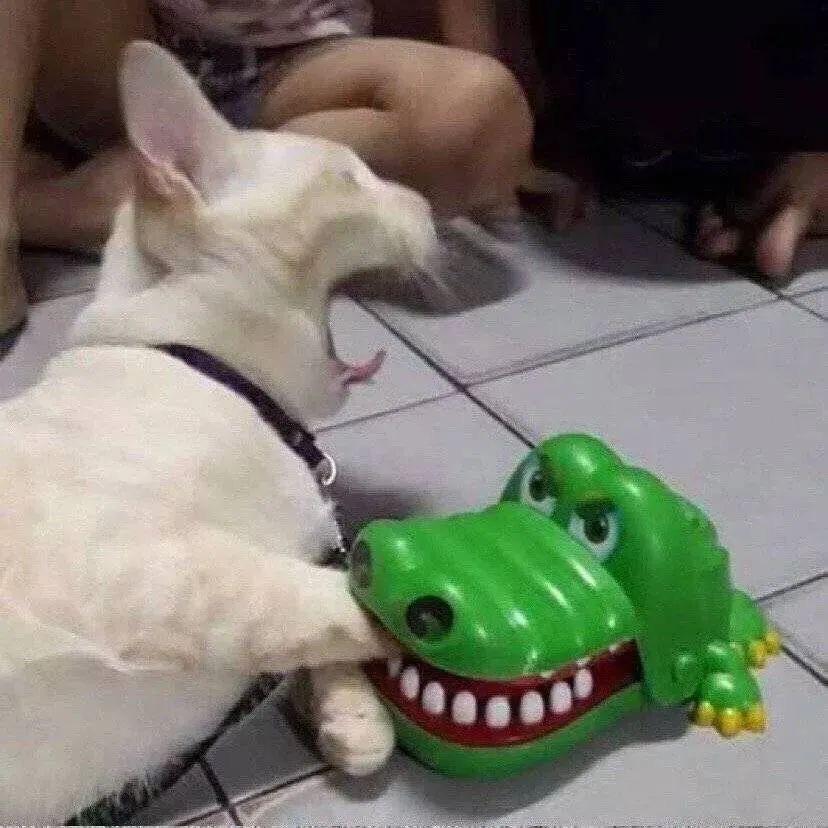 Stressssssssssssssss