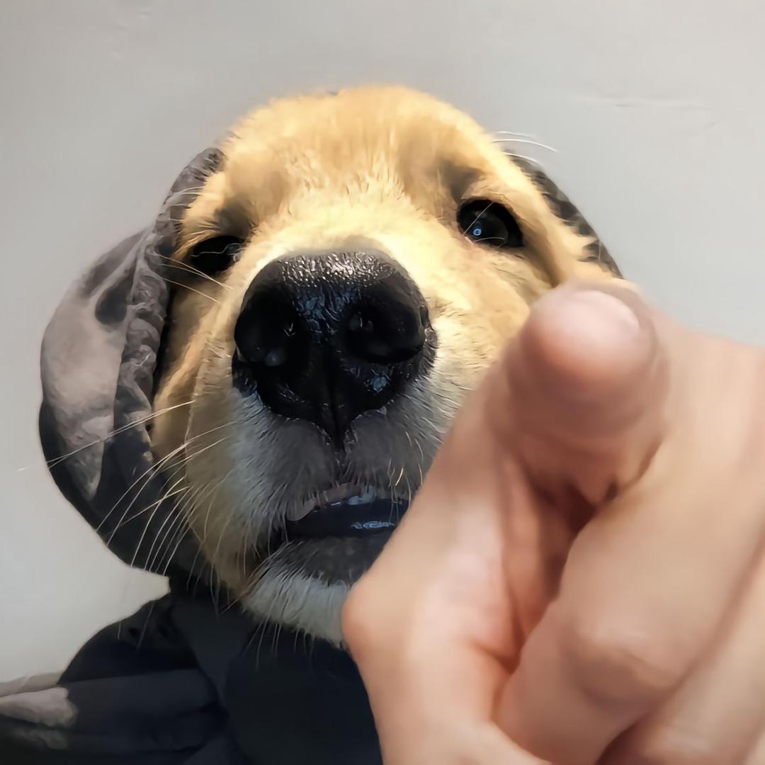 派派啊