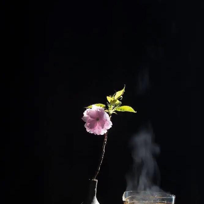 梵云大师