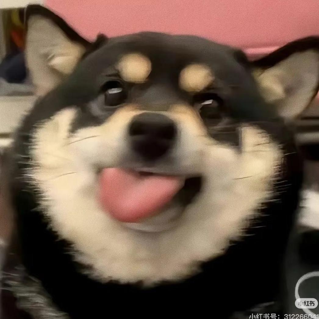 鹿白