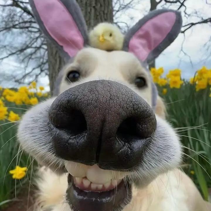 保德华宸景苑-马慧