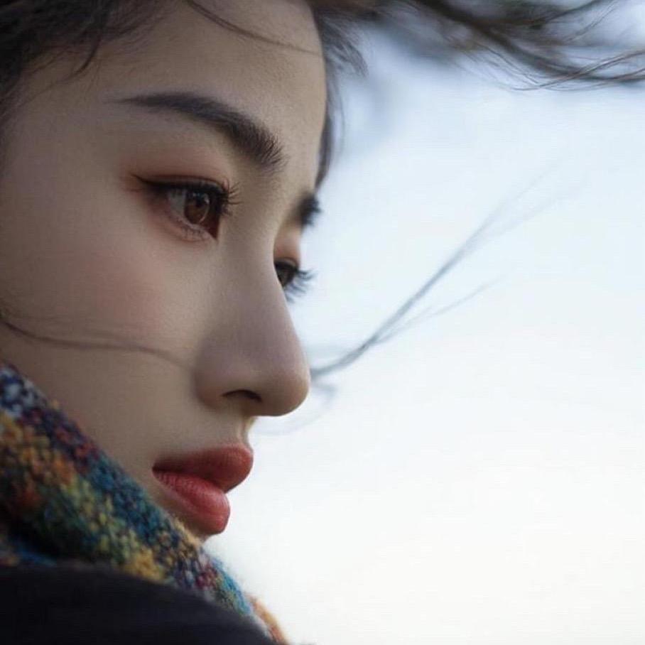 小灰机不会飞