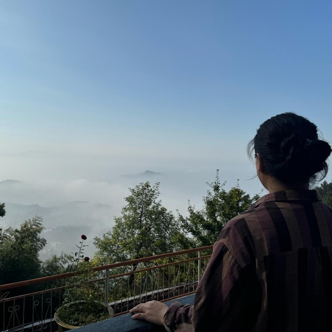 大叶子🍃