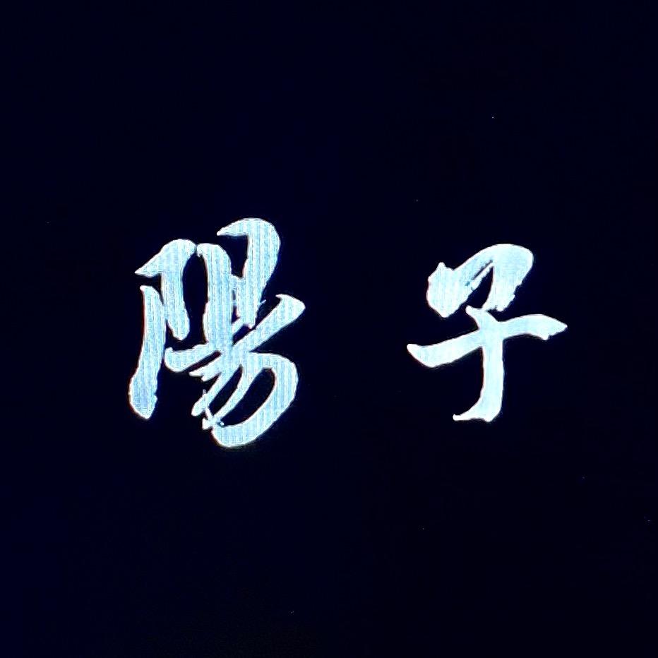 阳子的投资笔记
