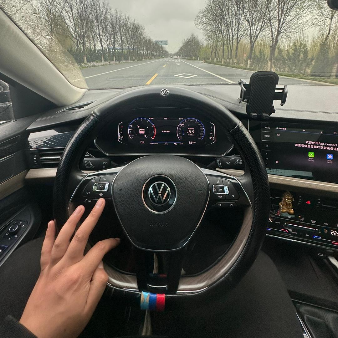 养了一只帕萨特🚗