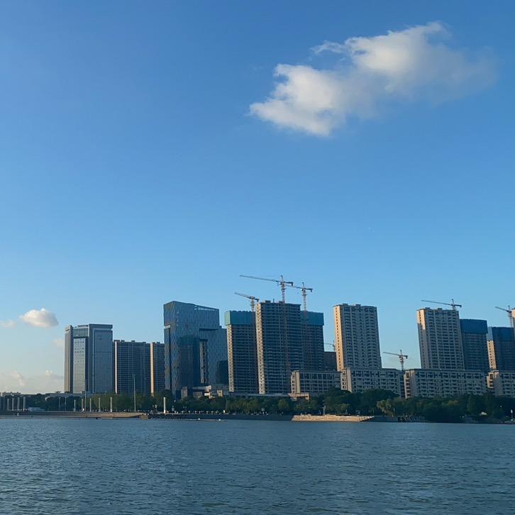 快乐飞雁