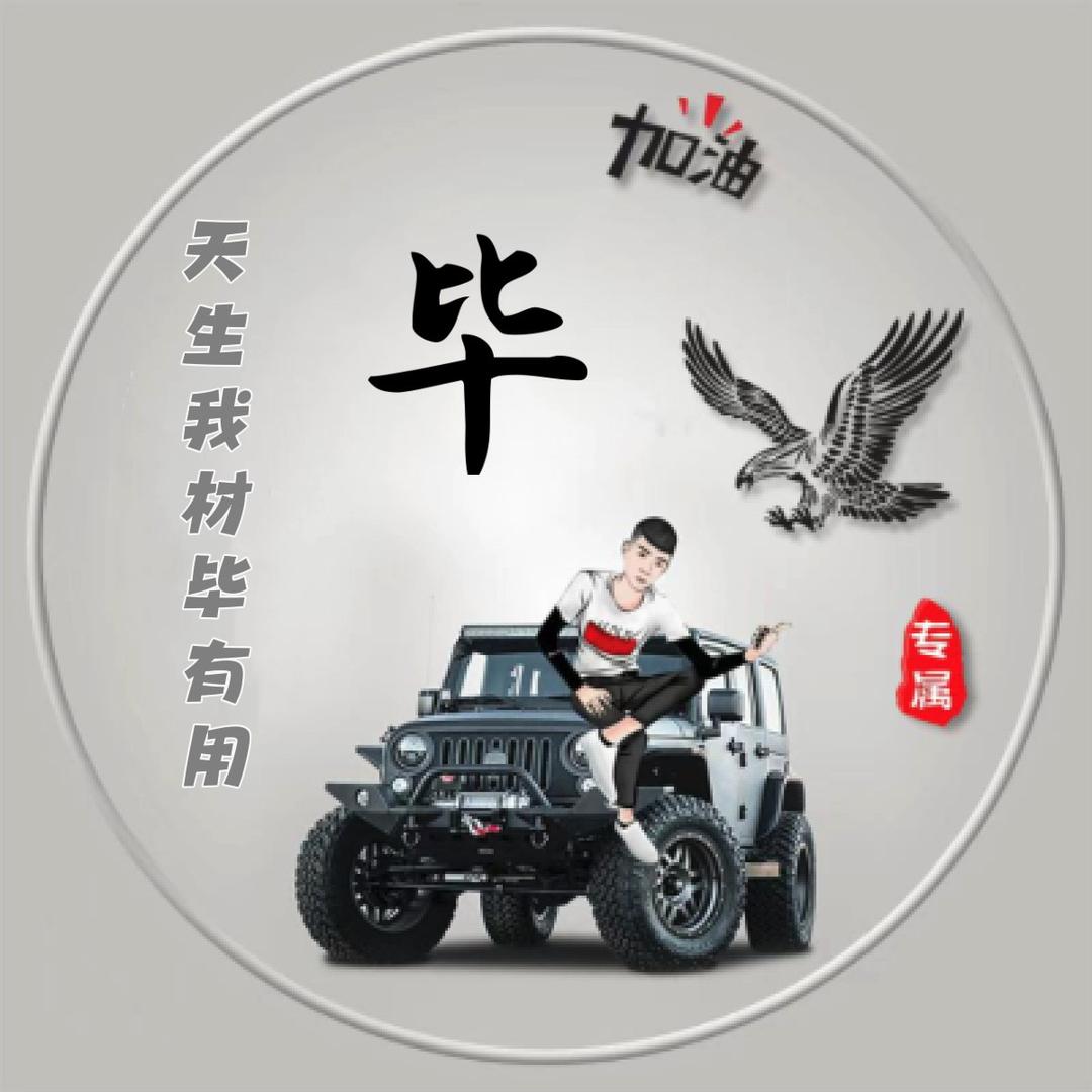 专业跨区100 pro