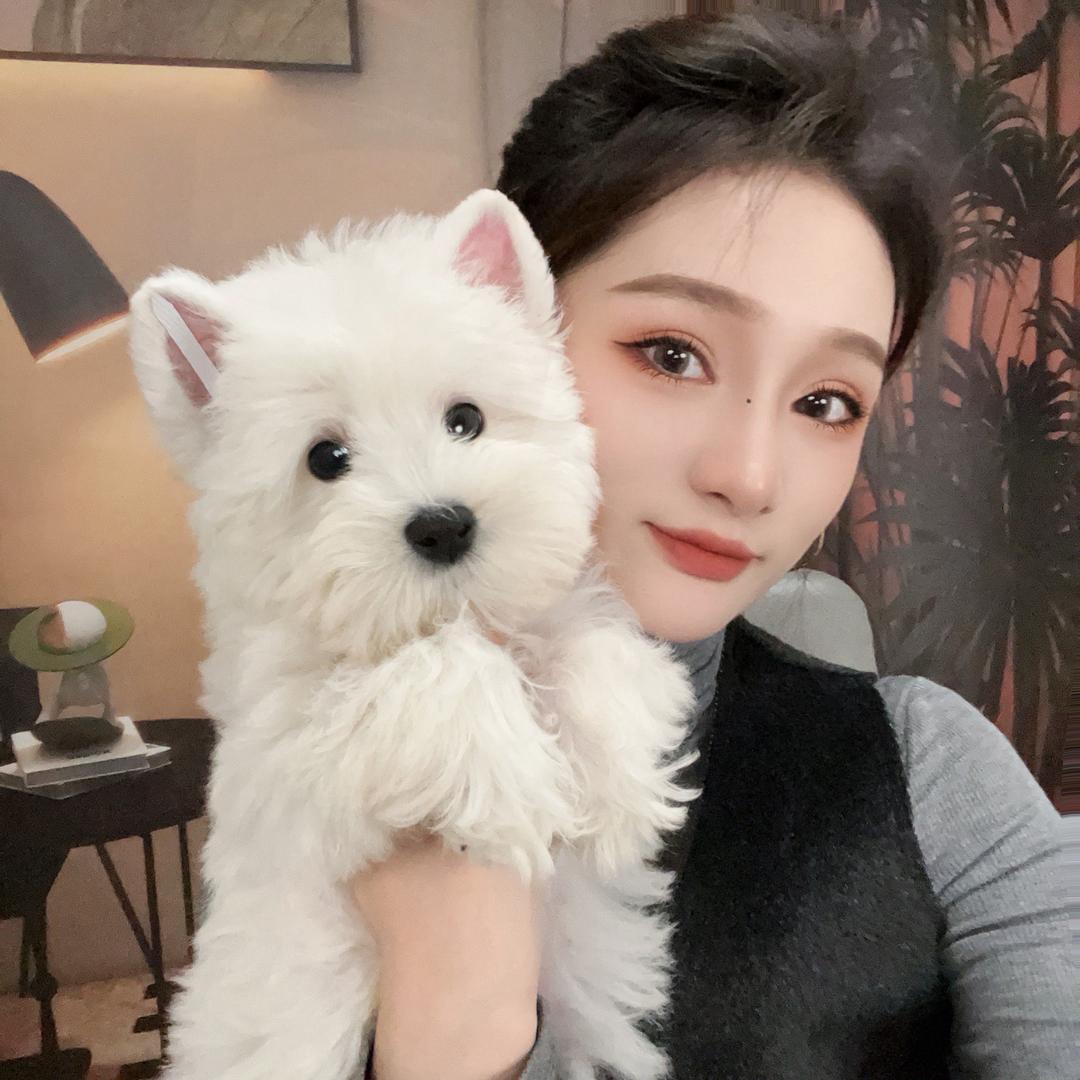 魔天使犬舍
