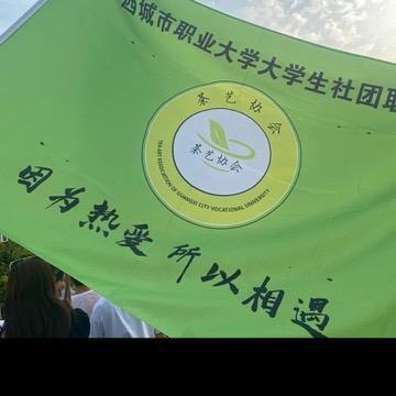 城大小茶茶