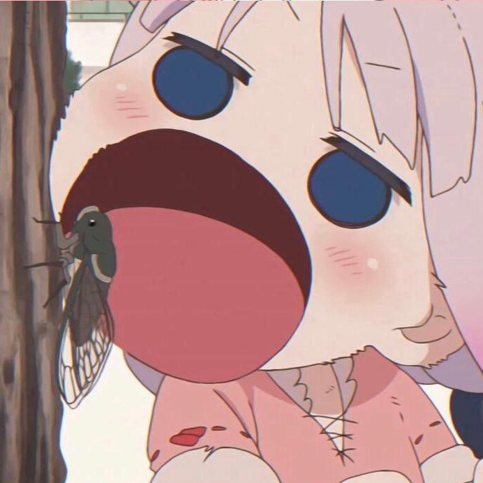 玫瑰种满长夏