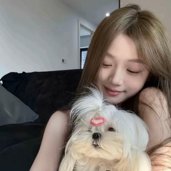 ⁥͏ ㅤㅤ