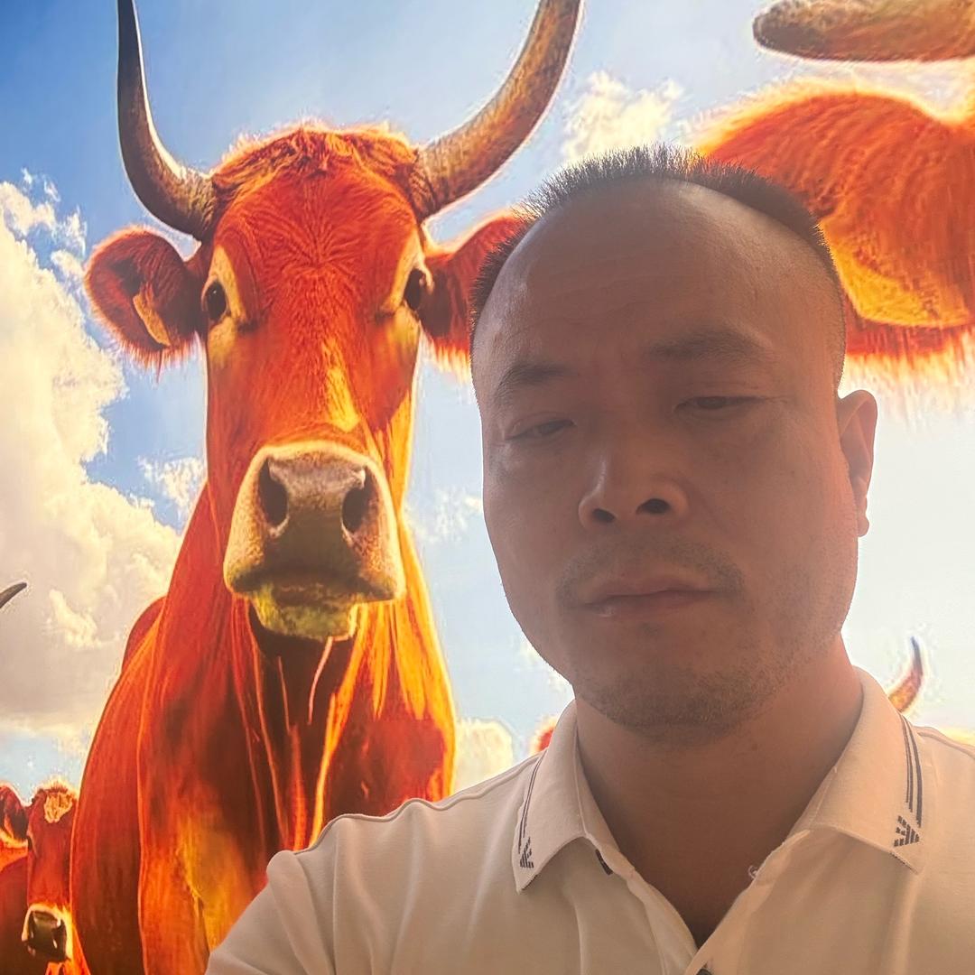 肥牛集市洲哥知识小向答