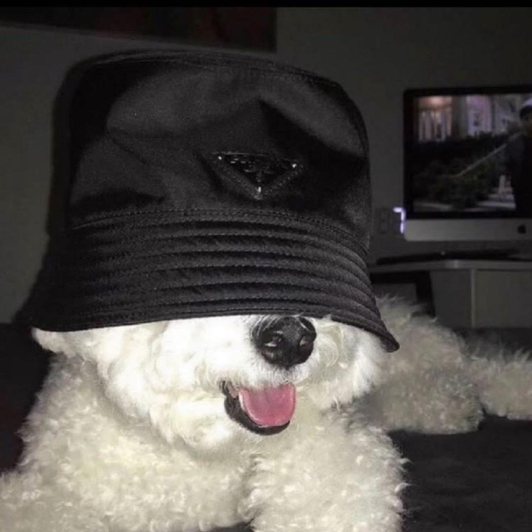 u