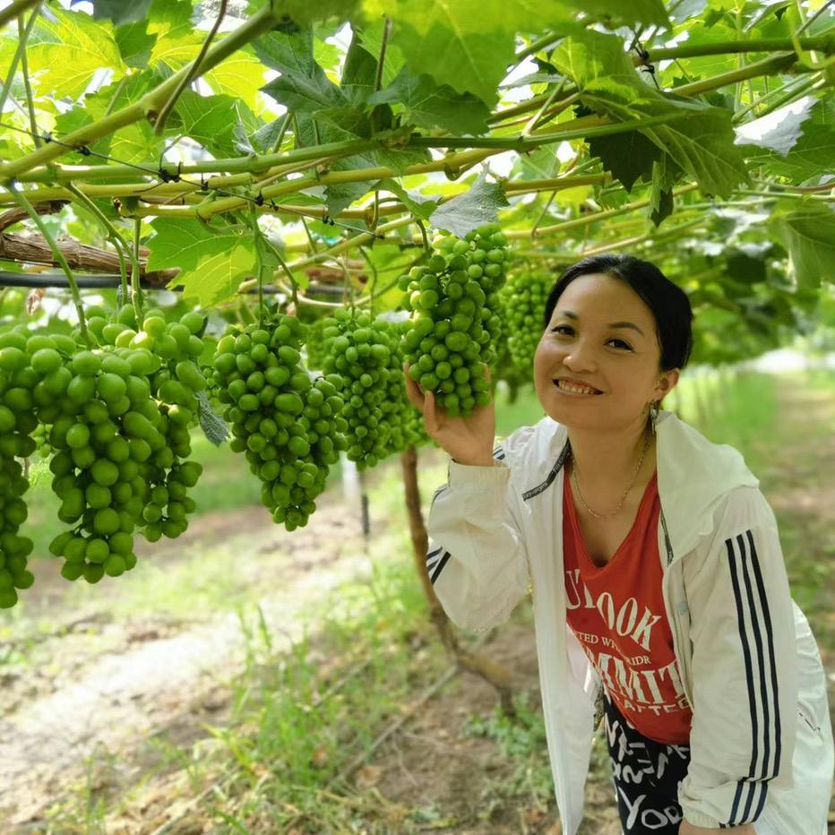 聊城裕兴农业—孟大姐