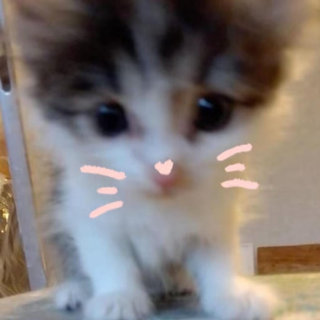 小鱼