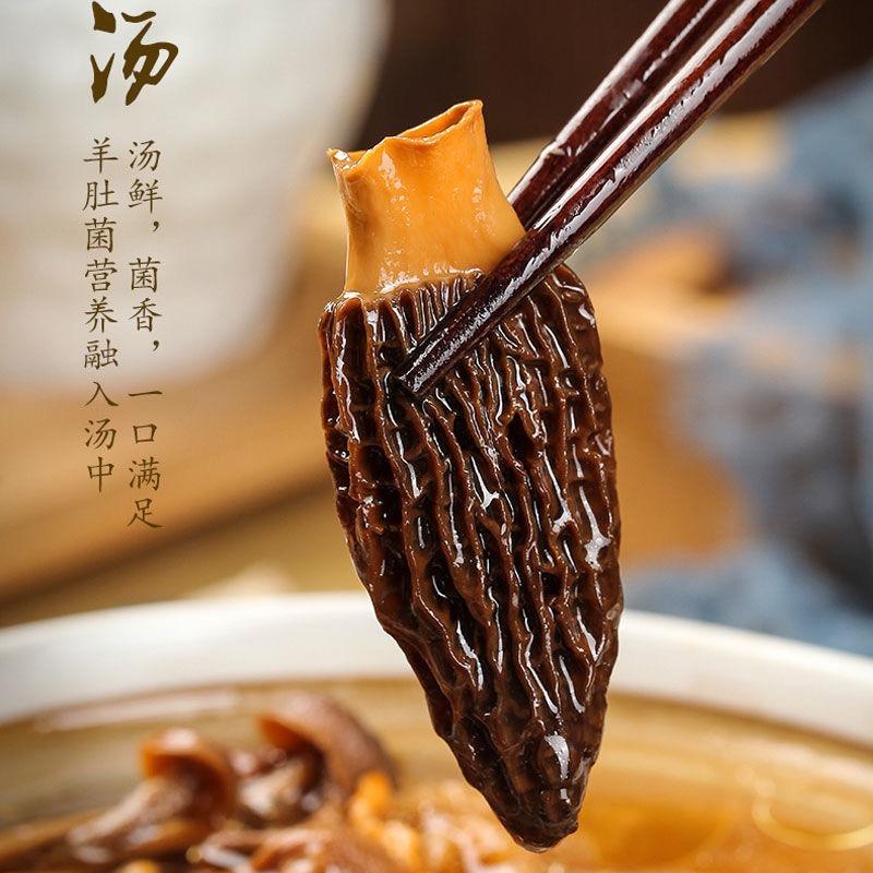 云山菌