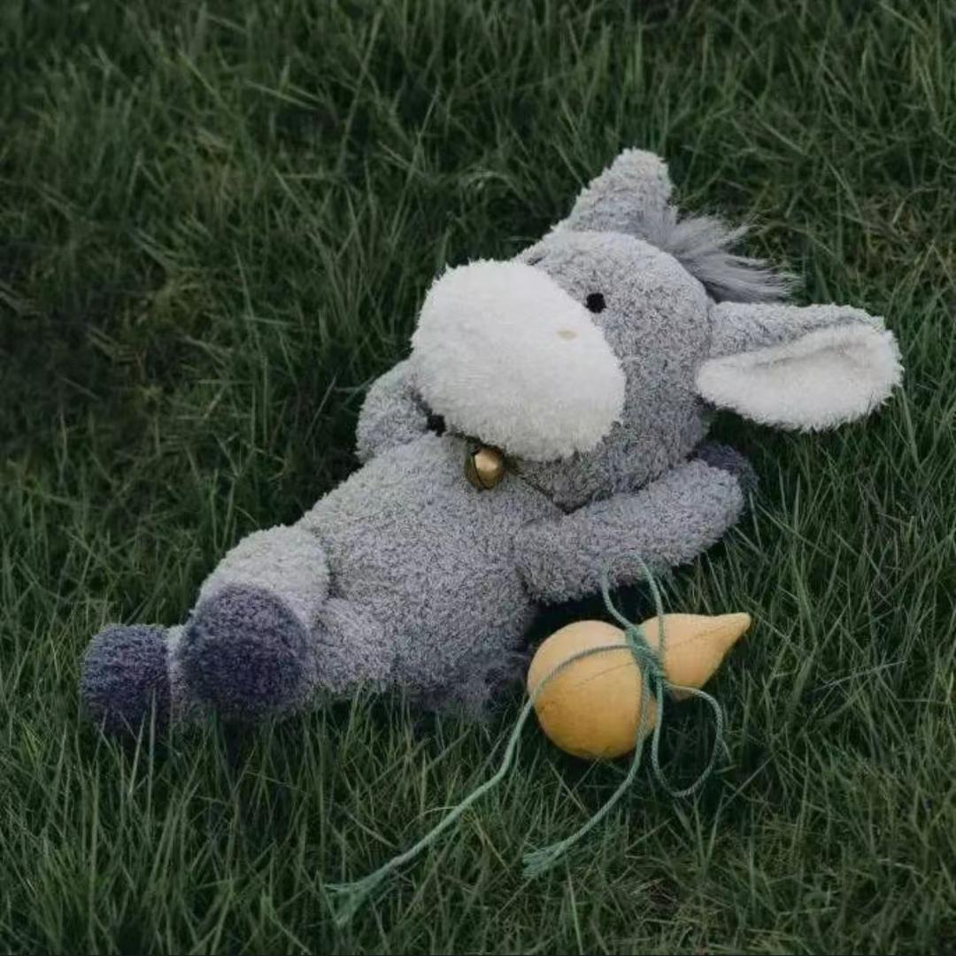 ÖY
