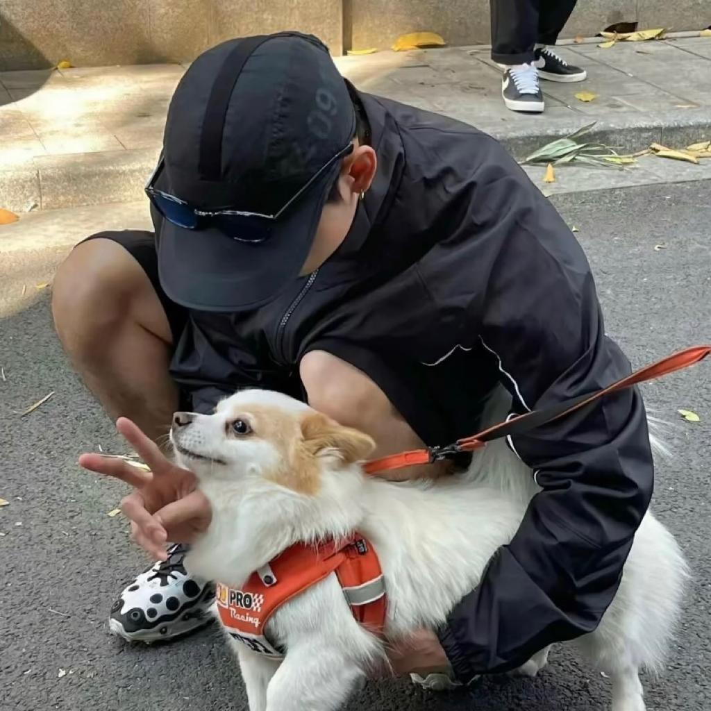 骗我别用真心话