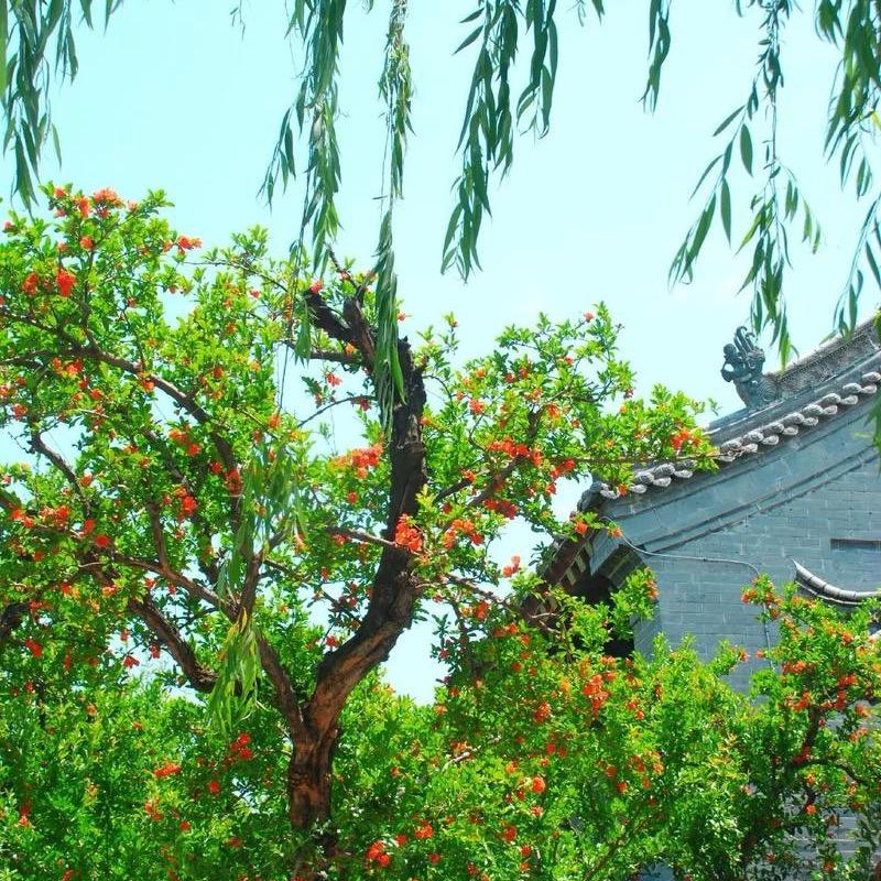 清辉不减人长久