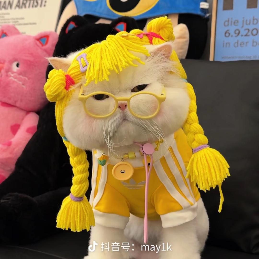 再睡亿分钟💤